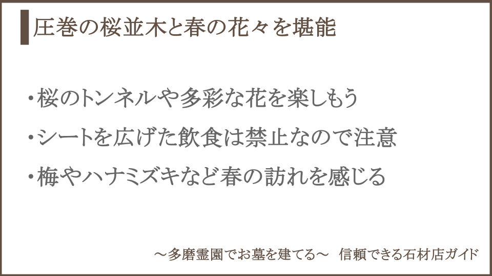 多磨霊園の春についての説明画像