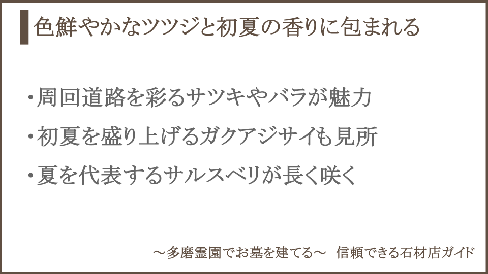 多磨霊園の夏についての説明画像