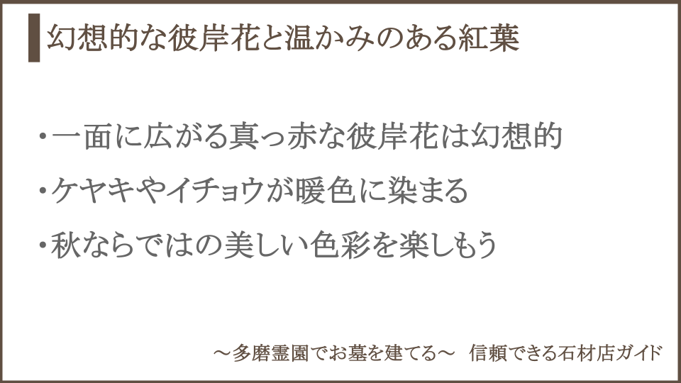 多磨霊園の秋についての説明画像